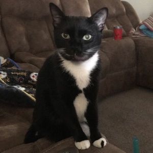 Meet your Posher, Shayla